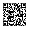 Código QR con el enlace al titular Elena Furiase ya es madre (y Lolita abuela)