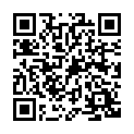 Código QR con el enlace al titular Completista