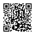 Código QR con el enlace al titular Este es el mapa para desfrutar de los carros engalanados y pendones