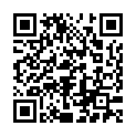 Código QR con el enlace al titular Selfie / 14